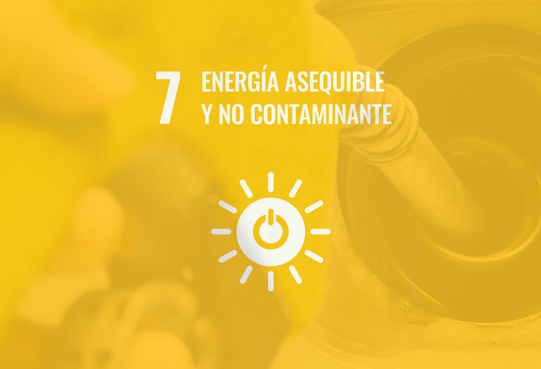 Aceite vegetal reciclado transformado en energía | Used vegetable oil turned into clean energy