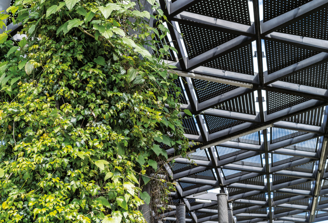 biological gel captures CO₂ for sustainable construction