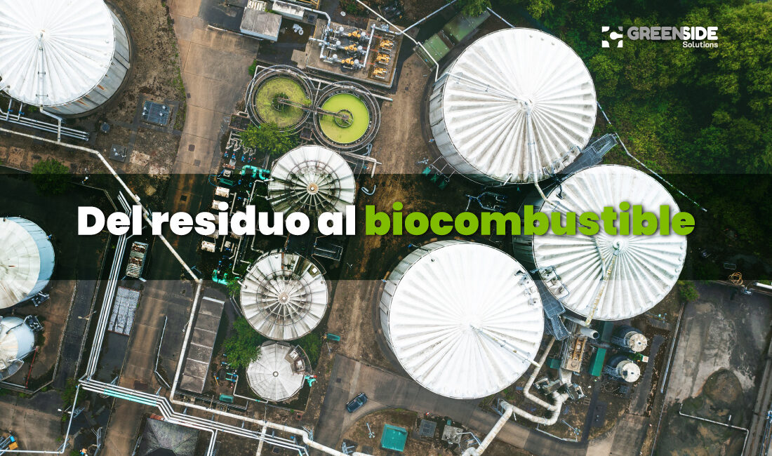 Proceso del aceite usado hasta su transformación en biocombustible