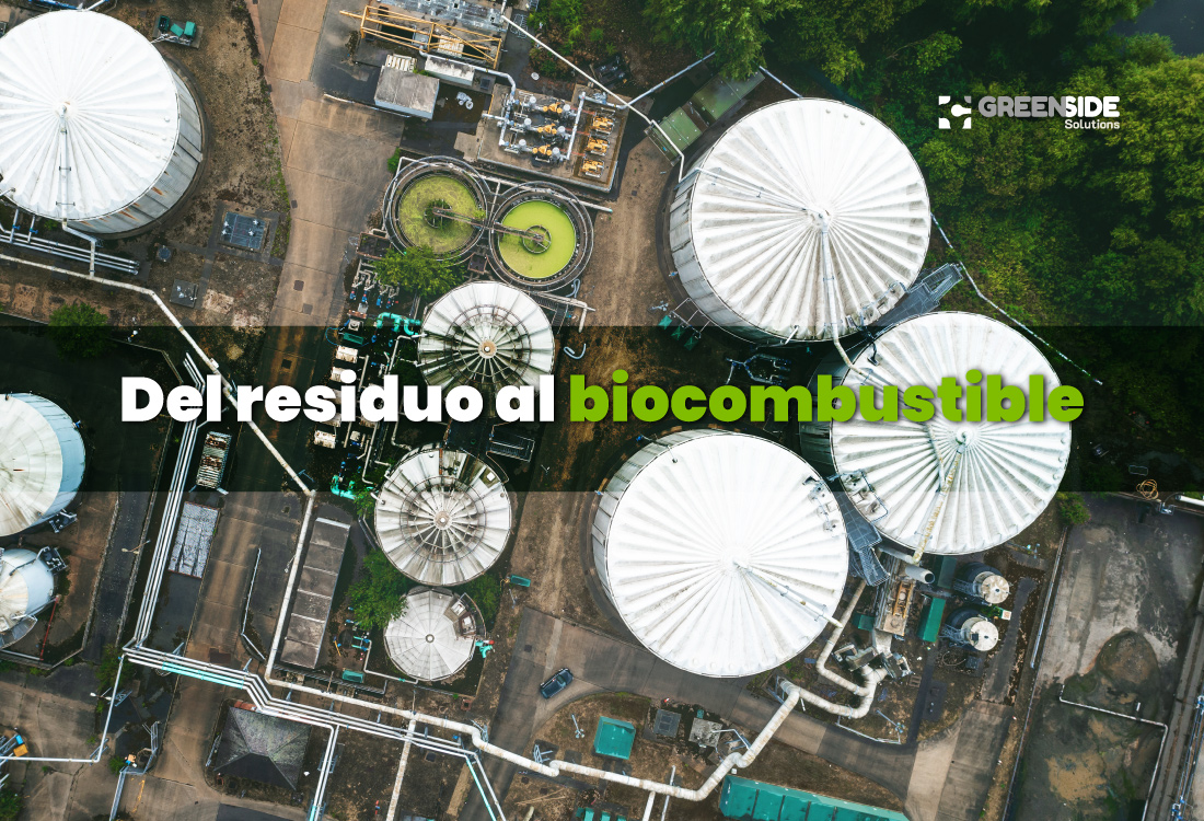 Proceso del aceite usado hasta su transformación en biocombustible